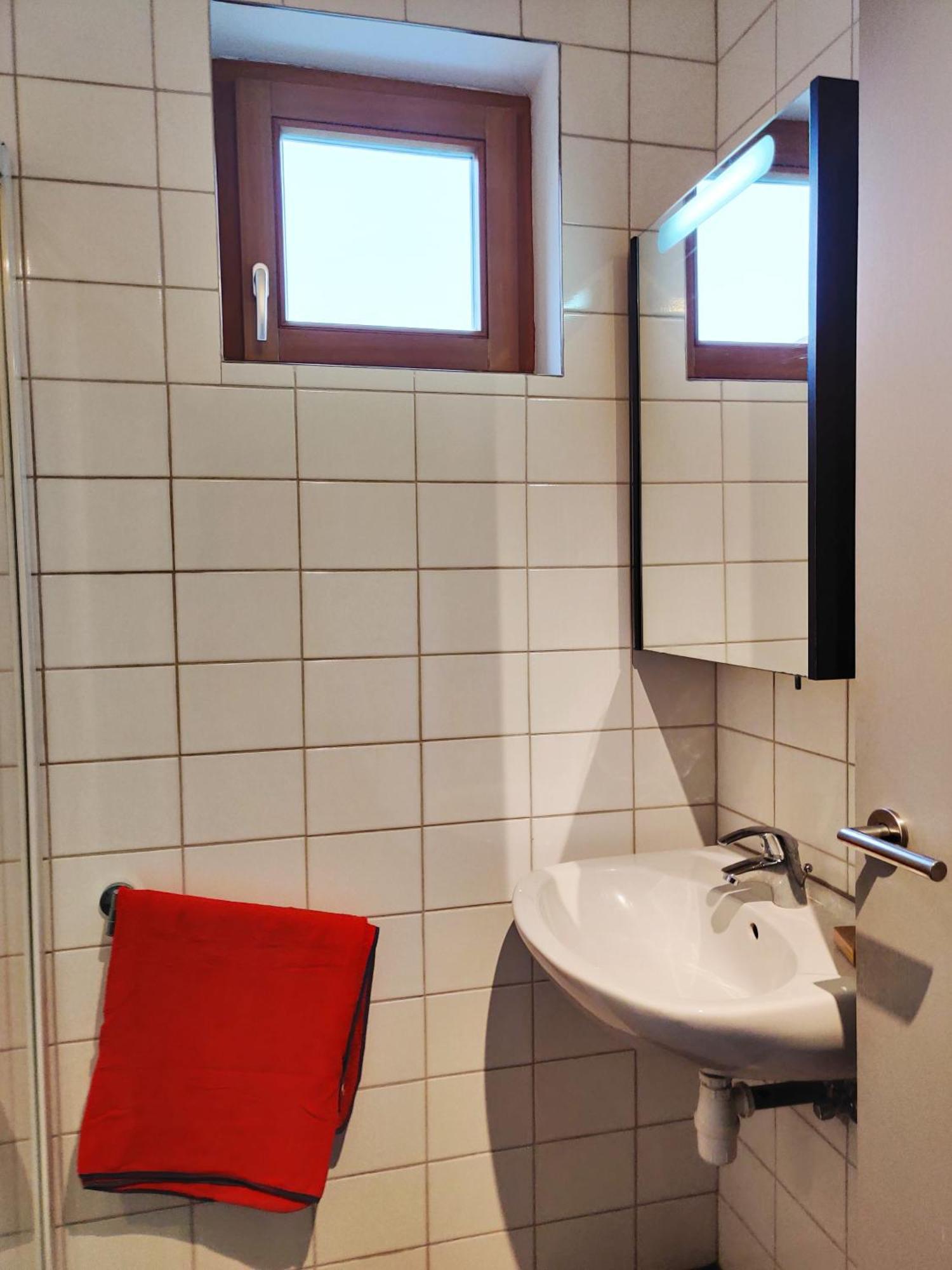 Petit Nid En Alsace Studio Independant Avec Salle De Douche Privative Buschwiller Экстерьер фото
